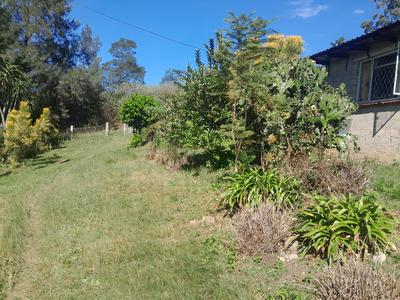 Farm For Sale in Hlutankungu, Hlutankungu